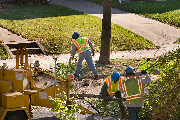 Lawn Drainage Solutions in Teague, TX